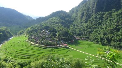 Lush green landscape in Pu Luong during the rainy season