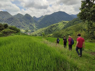 Pu Luong rice terraces with farmers working and walking trails