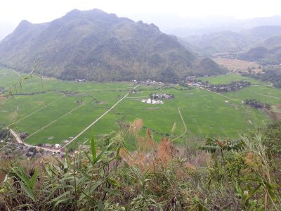 Misty morning in a quiet village in Pu Luong