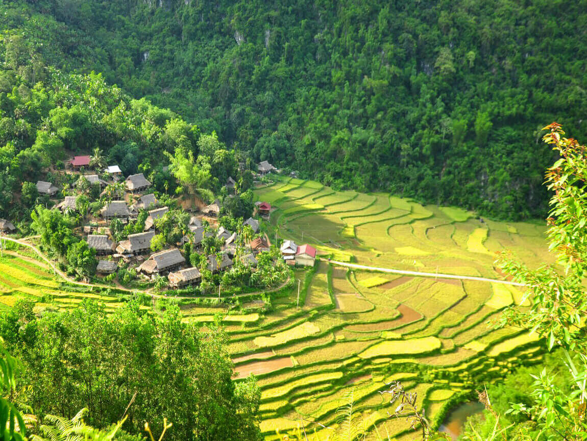 Luxury private Pu Luong journey with rice terraces and peaceful valley views