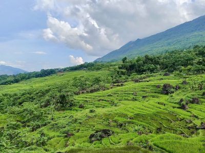 Pu Luong Nature Reserve landscape with rice terraces and villages