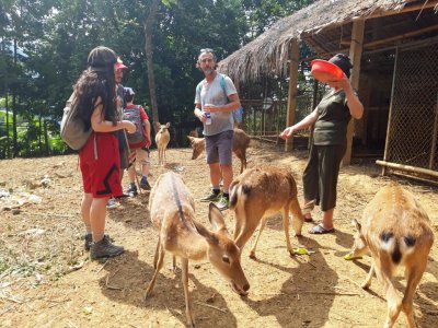Visit Local Farm in Deer Village