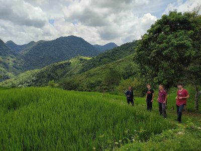 Walking through rice terraces in Pu Luong Nature Reserve