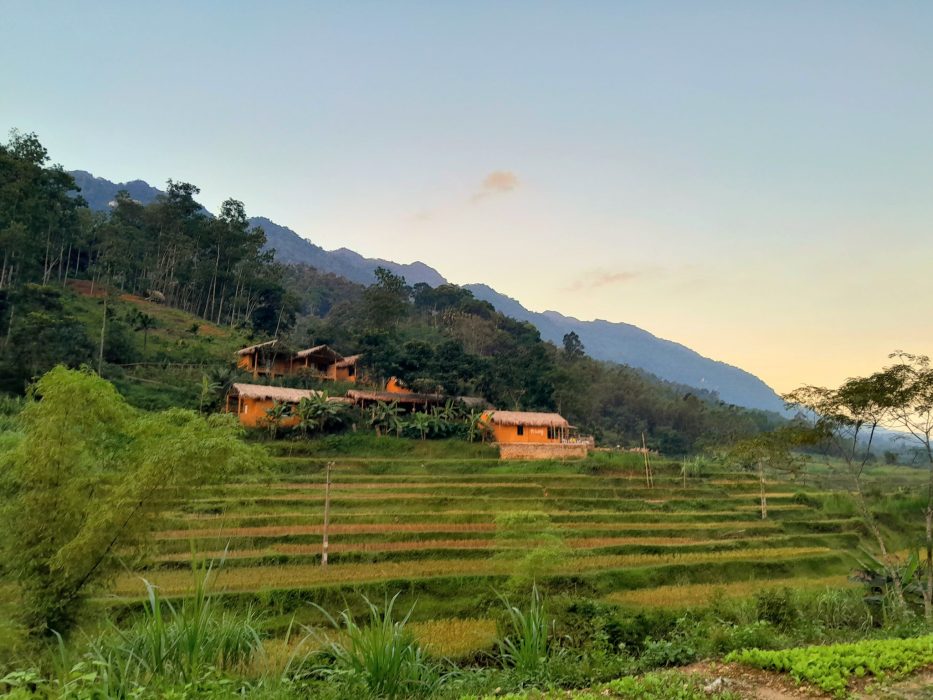 Traditional homestay surrounded by rice terraces in Pu Luong Nature Reserve
