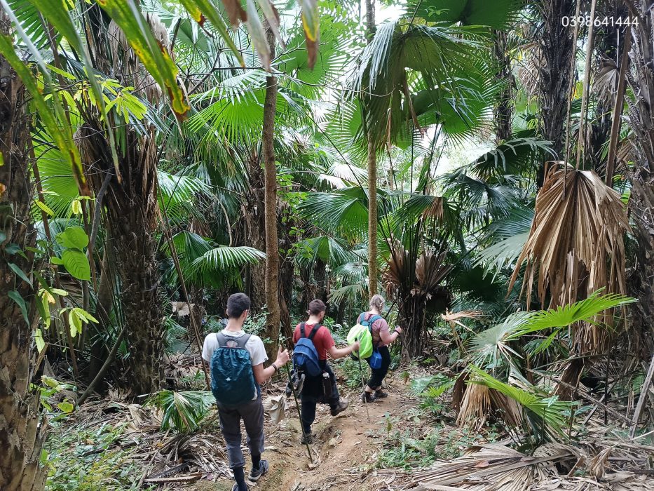 slow walking journey in Pu Luong villages