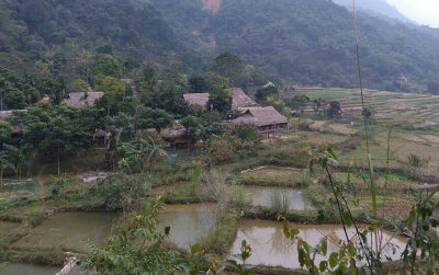 Morning hiking in Pu Luong valleys on day two of a 2 days 1 night trek