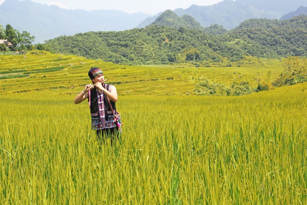 Pu Luong rice terraces for slow travelers seeking quiet walking paths