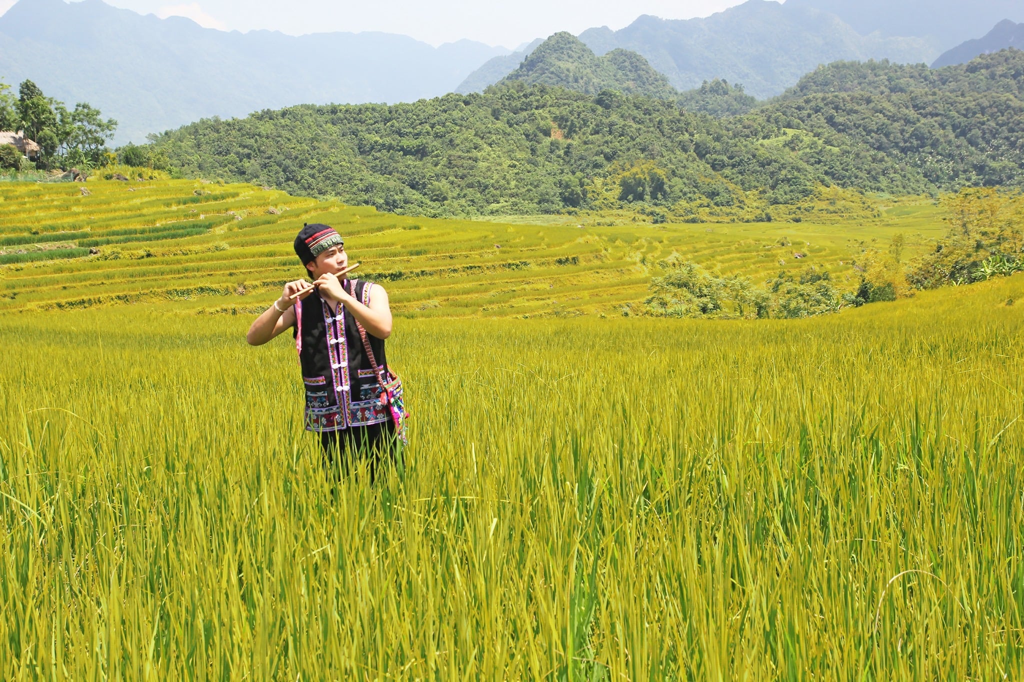 Pu Luong rice terraces for slow travelers seeking quiet walking paths