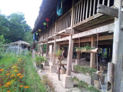 Traditional village homestay in Pu Luong with stilt house and rice fields