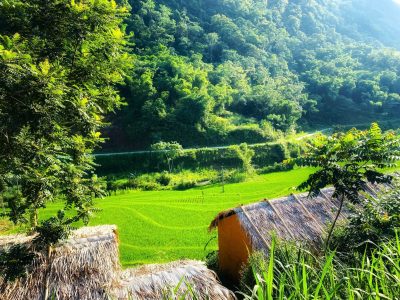 Private bungalow balcony overlooking rice terraces in Pu Luong