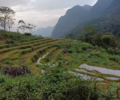 Trekking through rice terraces in Pu Luong Nature Reserve