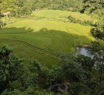 Rice terraces in Pu Luong Nature Reserve northern Vietnam