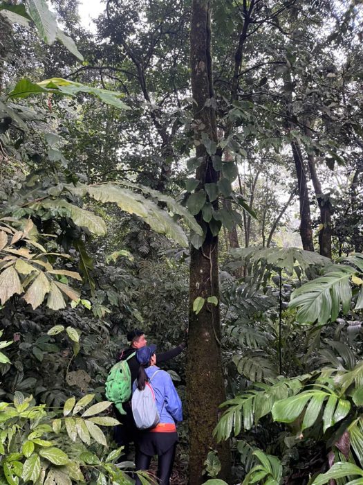 Pu Luong Nature Reserve trekking itinerary through rice terraces and Thai villages