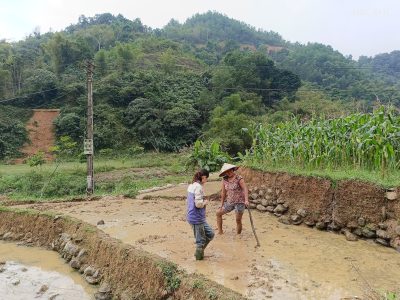 Local farmers working in rice terraces in Pu Luong Nature Reserve