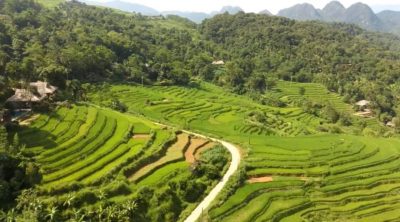 Trekking trail through rice terraces in Pu Luong Nature Reserve