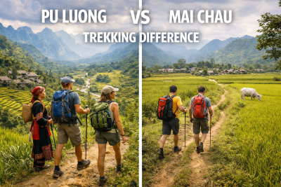 comparison of trekking difficulty between Pu Luong mountain trails and Mai Chau flat valley paths in Vietnam
