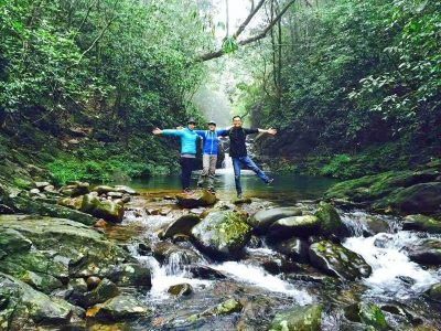 Rainforest trekking trails in Bach Ma National Park Vietnam