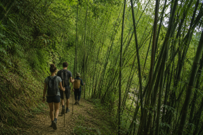 Trekking through bamboo forest in Pu Luong Vietnam