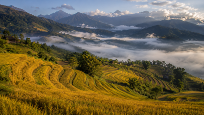 Rice terraces in Hoang Su Phi northern Vietnam