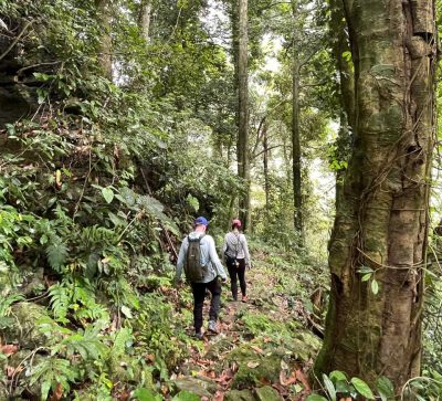 Remote jungle trekking trail between Trinh and Nua villages in Pu Luong