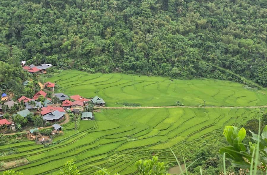 Panoramic rice terraces and remote villages during a 5-day trekking journey in Pu Luong Vietnam