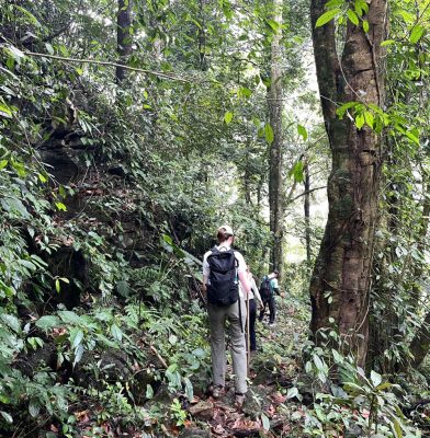 trekking in Pu Luong jungle trail with local guide during 3 days trekking tour