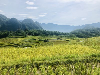 Rice terraces and traditional Thai houses in Eo Ken Pu Luong