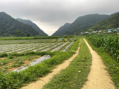 Difficult mountain trekking route through Son Ba Muoi villages in Pu Luong